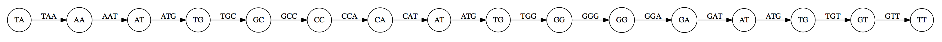 A long string of 2-mer nodes linked together with 3-mers on edges.