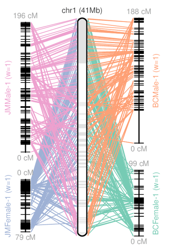 Example of linkage map from JCVI