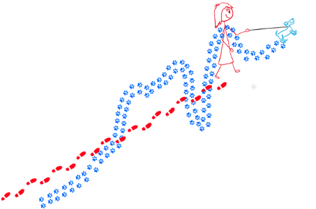 Illustration of the difference between weather and climate. 