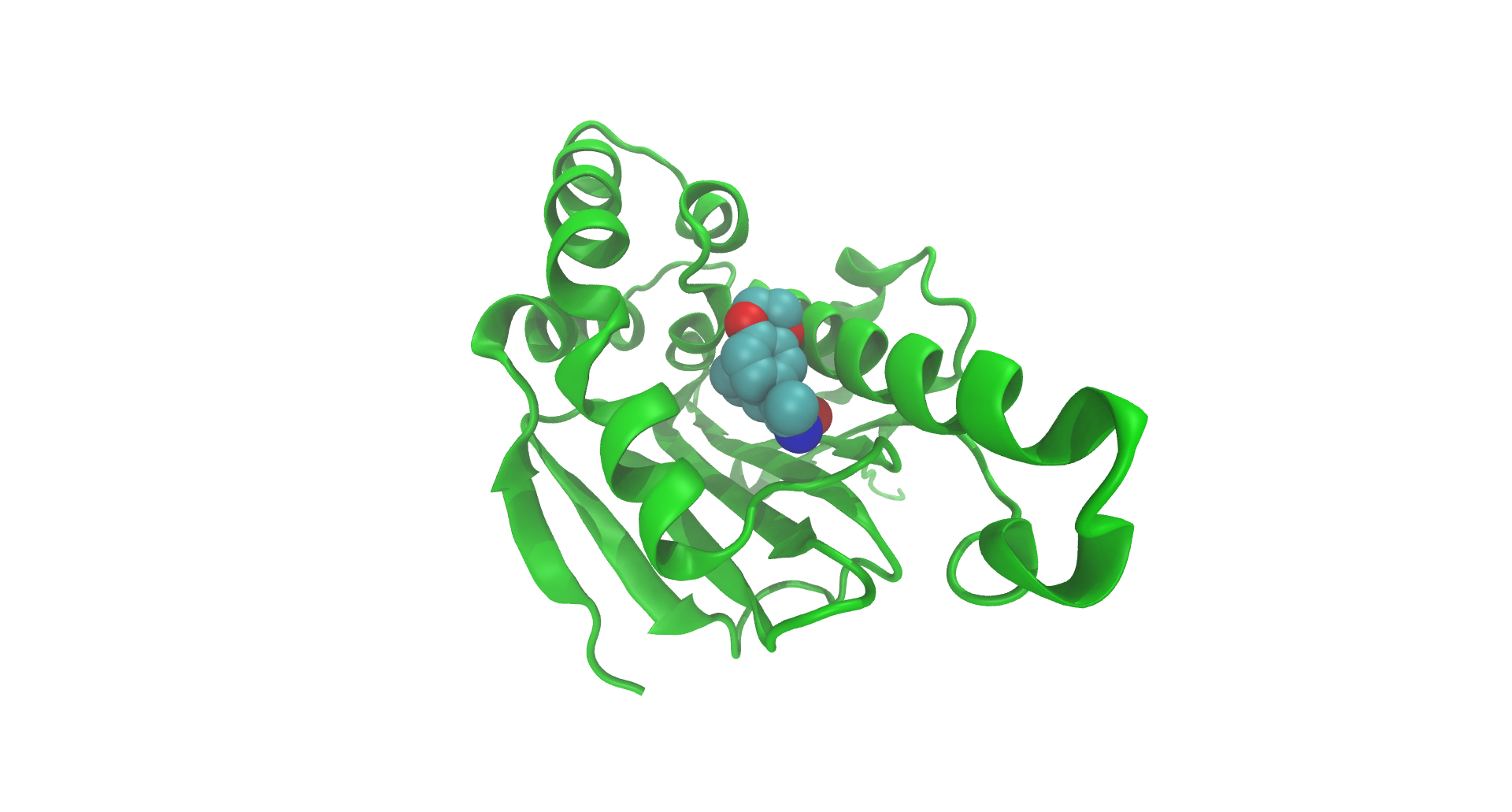 Hsp90 N-terminus structure. 