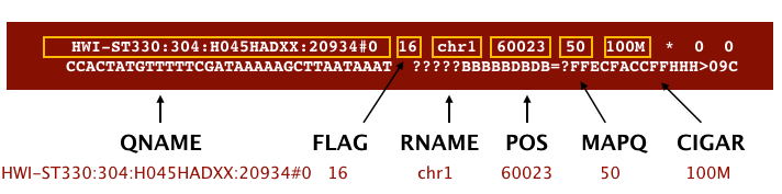 sam file example with fields description, showing qname, flag, rname, pos, maqp, and cigar as the first fields. 