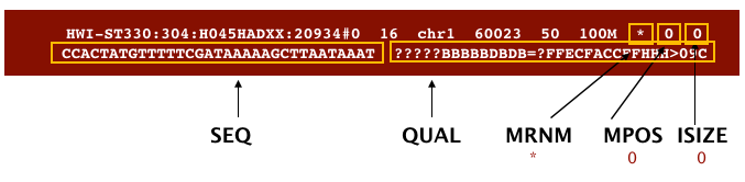 sam file example with fields description, showing seq, qual, mrnm, mpos, and size as the second set of fields.