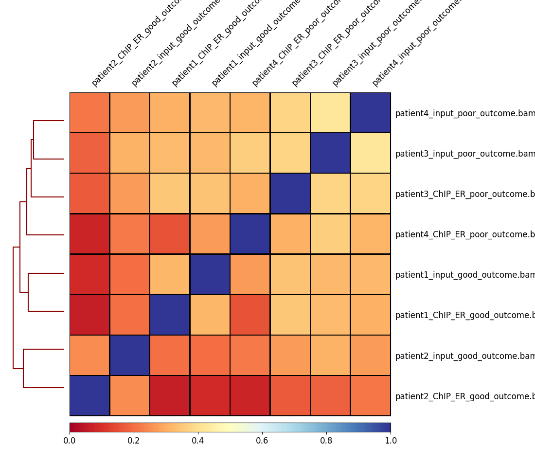 Output for plotCorrelation with the correlation scores between the 8 samples. 