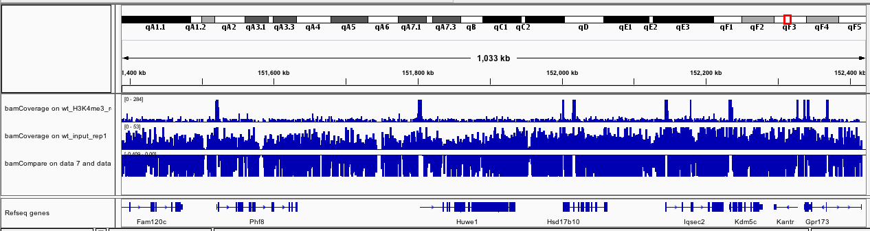 Output of bamCoverage. 