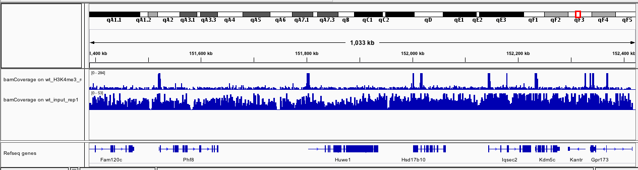 Output of bamCoverage. 