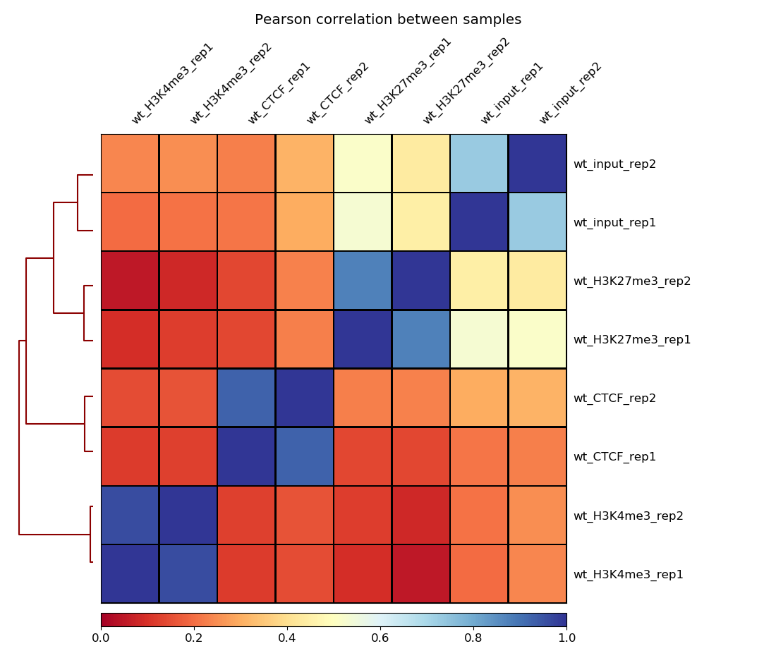 Output for plotCorrelation with the correlation scores between the 8 samples. 