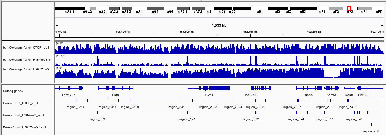 Coverage and peaks for the replicate 1. 