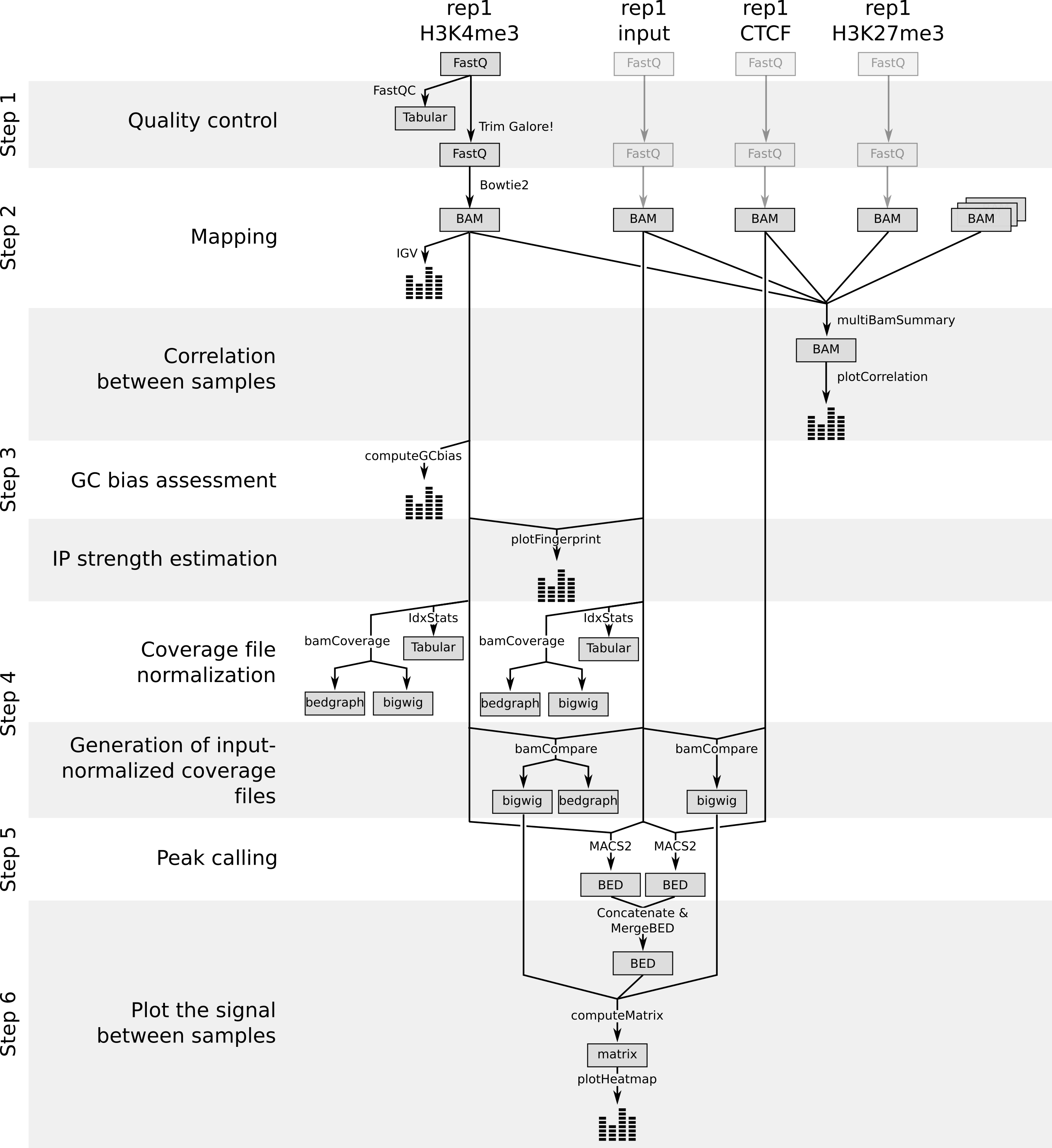 Workflow to extract peaks and coverage information from raw data of ChIP experiments. 