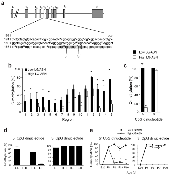 Another paper chart, here a number of graphs are shown, but their interpretation is unclear.