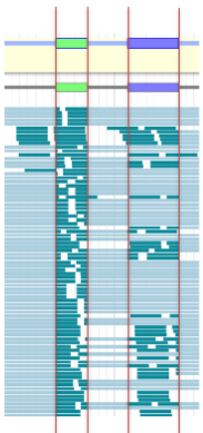 Apollo screenshot showing how RNASeq reads align mostly within some exons limits, but not perfectly