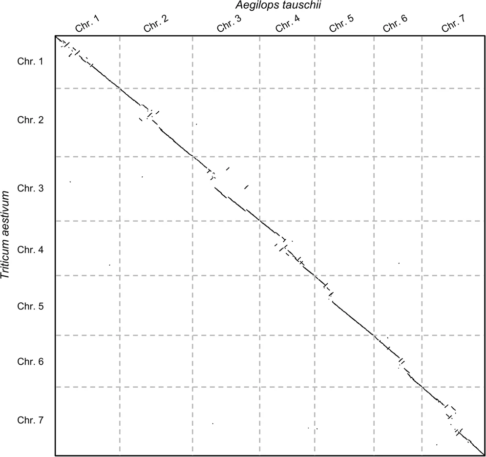 Large-scale genome comparison example. 