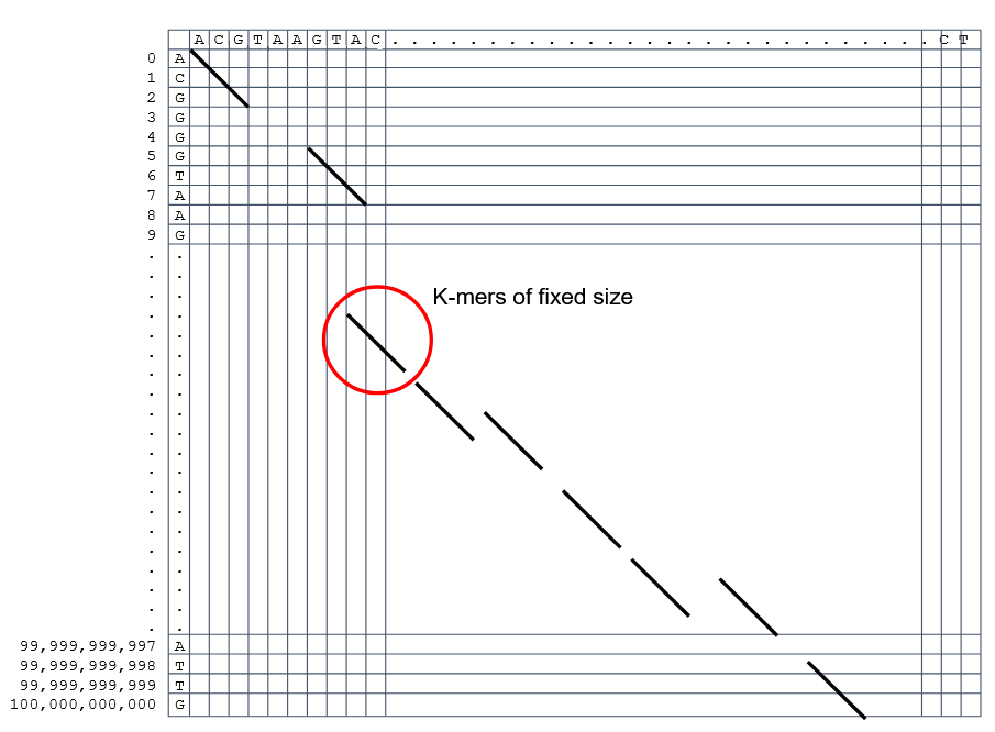 The same matrix is shown again, but now black diagonal lines appear, circled as k-mers of fixed size.