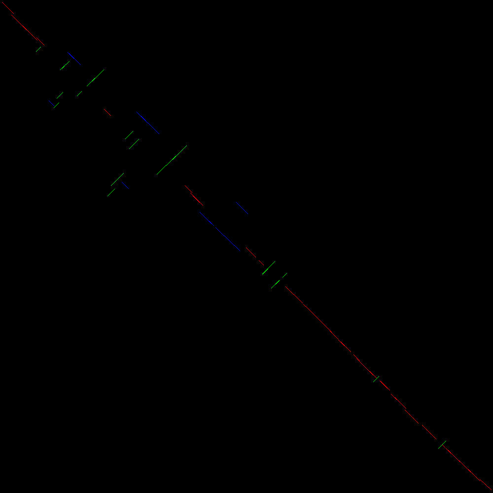 Events in chromosome comparison. 