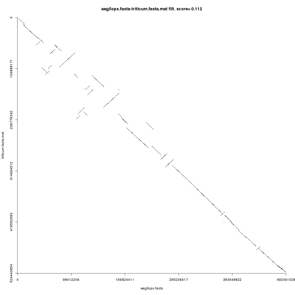 Single chromosome comparison. 