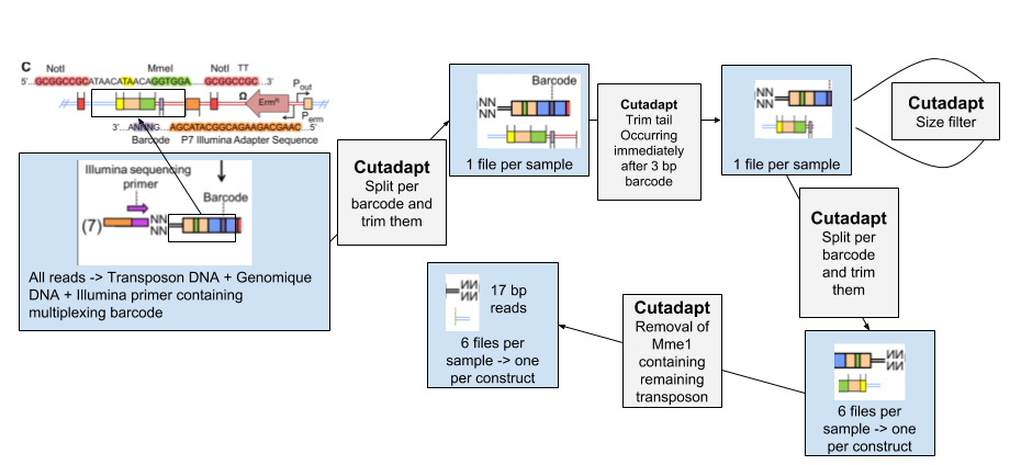 Workflow of data pre-processing. 