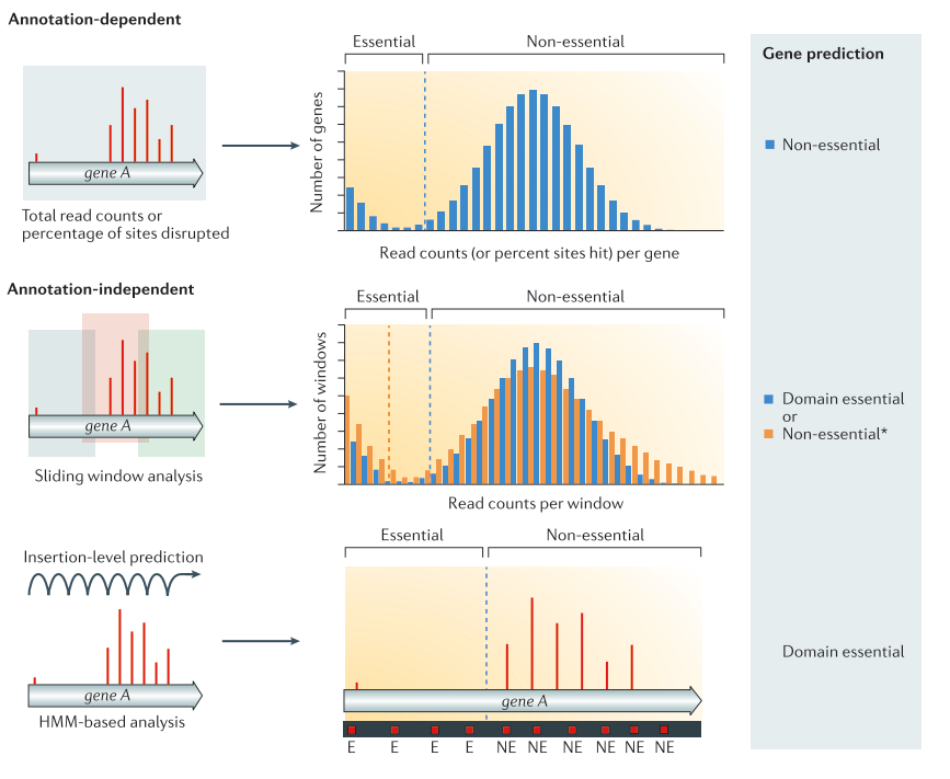 Different types of TnSeq Analyses. 