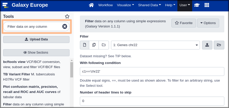 The Filter Tool form. 