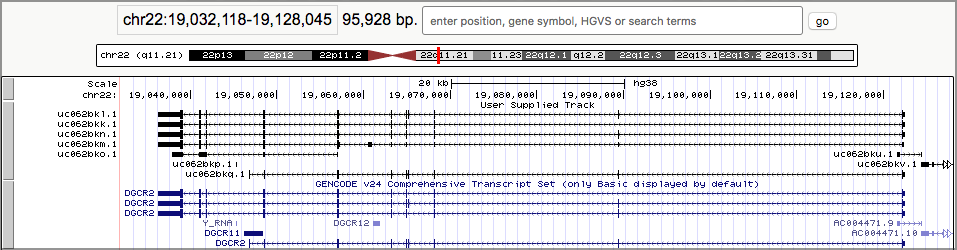 One gene, fully zoomed and expanded. 