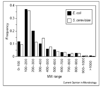 Histogram comparing E. coli and S. cerevisiae and their molecular weight ranges and frequency.