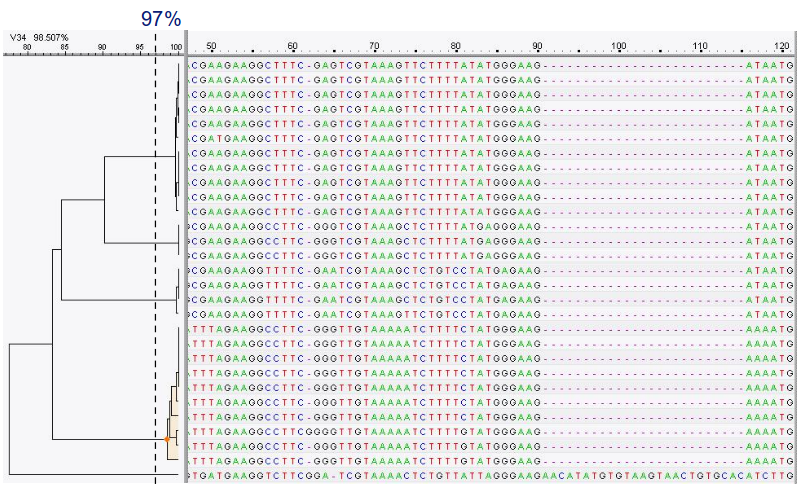 dna sequences with hierarchical clustering shown