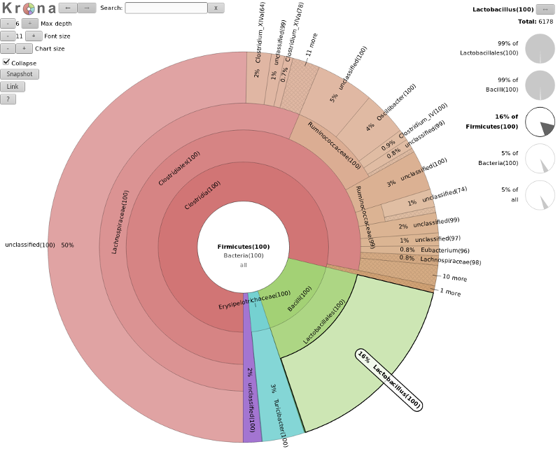 doughnut plot with bands for each kingdom, down to genus, species