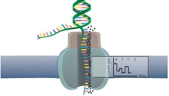 How nanopore sequencing works