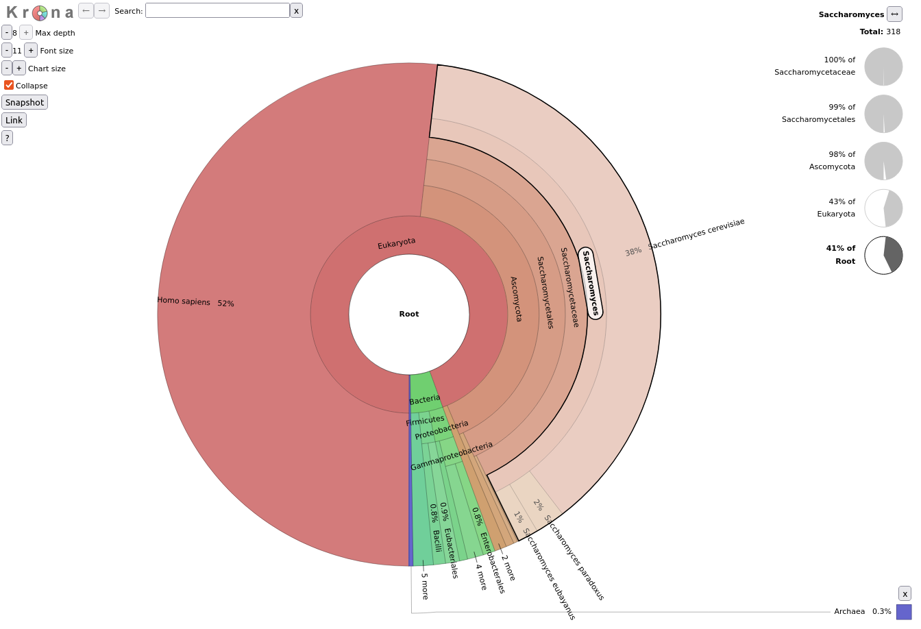 Krona chart with multi-layered pie chart representing the community profile with in the center the higher taxonomy levels (i.e. domain) and on the exterior the more detailed ones (i.e. species). *Saccharomyces* is highligthed with on the right the percentages of identified reads assigned to *Saccharomyces* for the different taxonomic levels. 