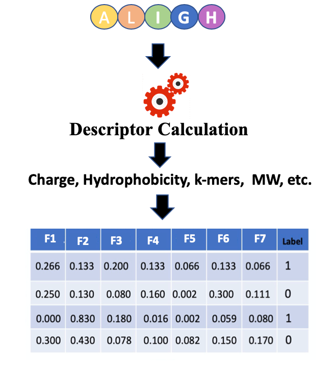 Peptide descriptors. 