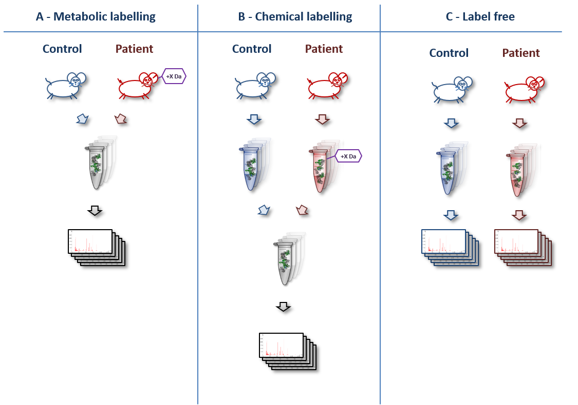 Overview quantitation techniques. 