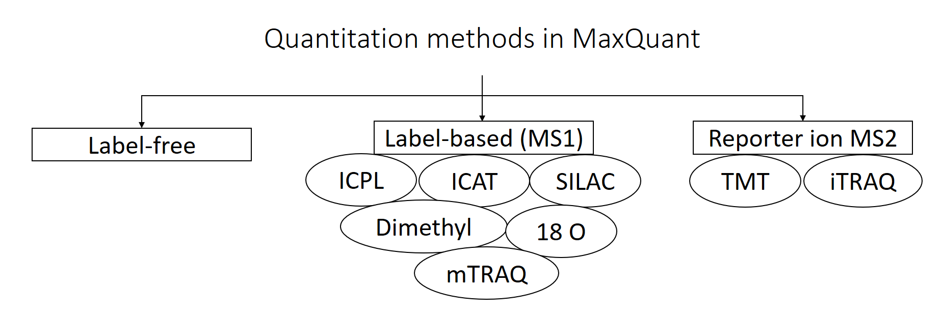 MQ_quant_methods. 