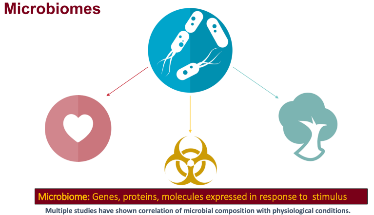 Microbiome. 