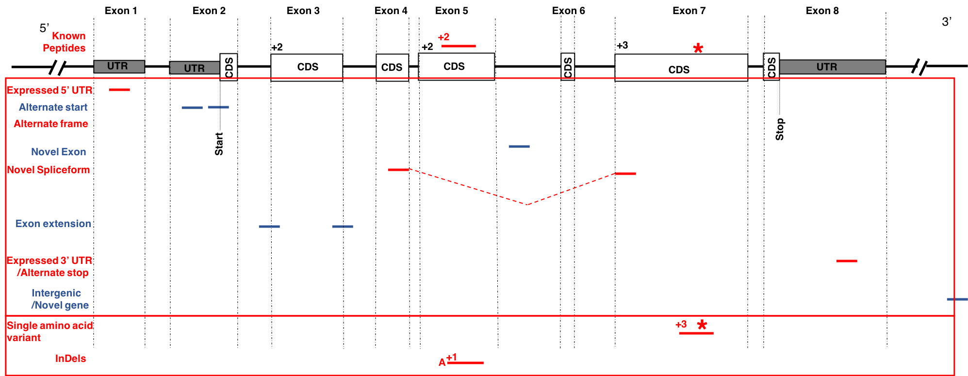 Novel Peptides. 