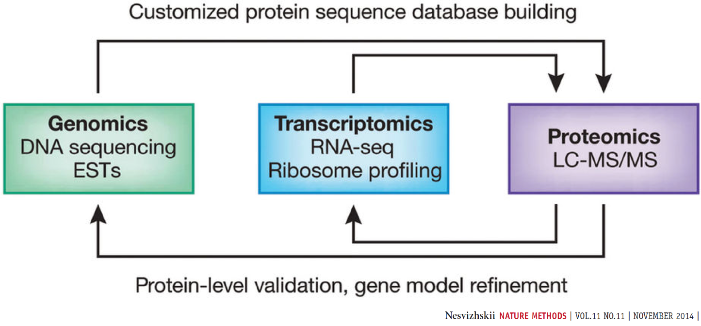 Proteogenomics. 