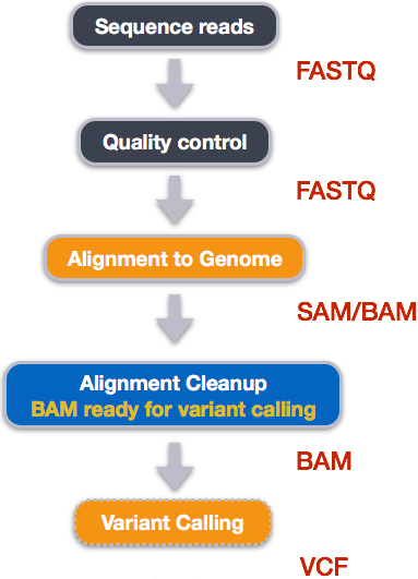 High level view of a typical NGS workflow