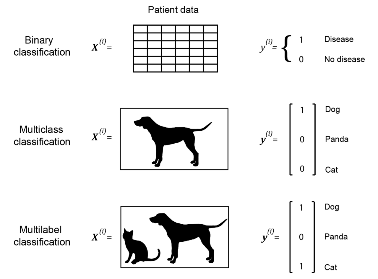 Three images illustrating binary, multiclass, and multilabel classifications and their label representation