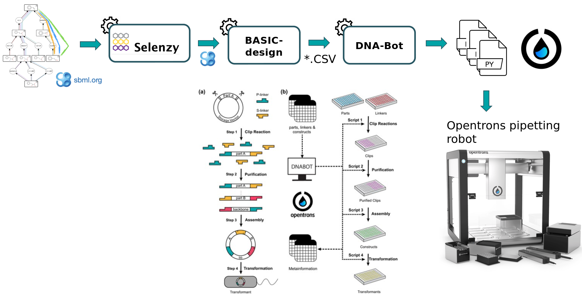 BASIC assembly workflow. 