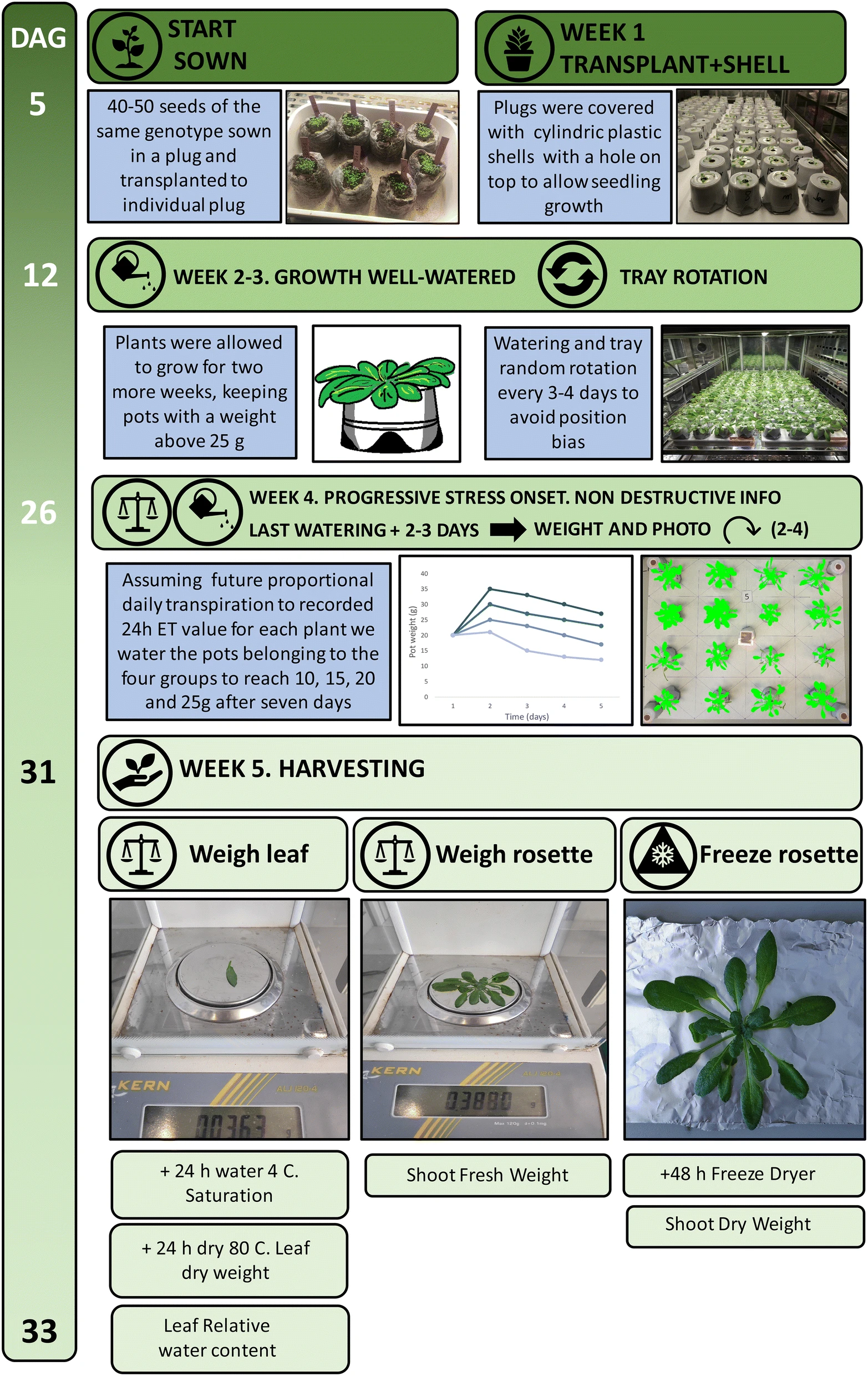 fig16:Plant growth. 