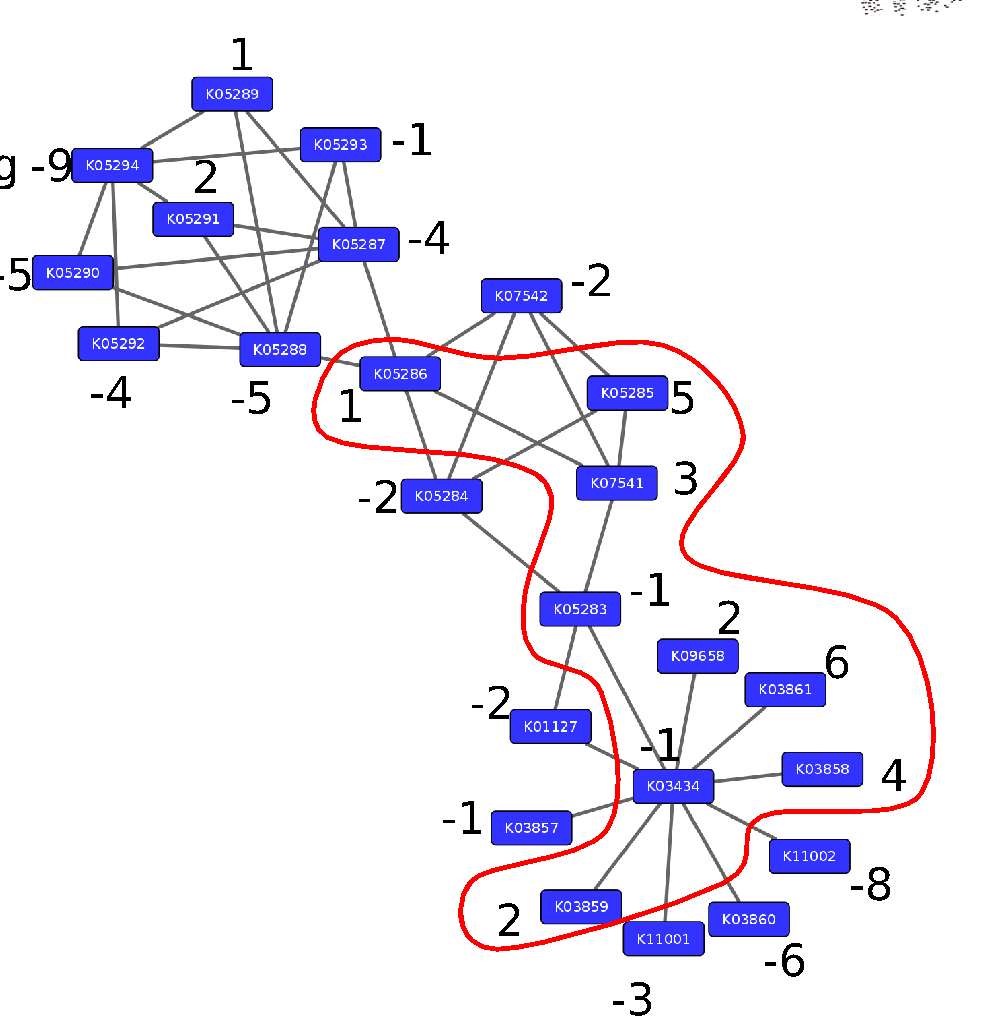 maximum scoring subnetwork