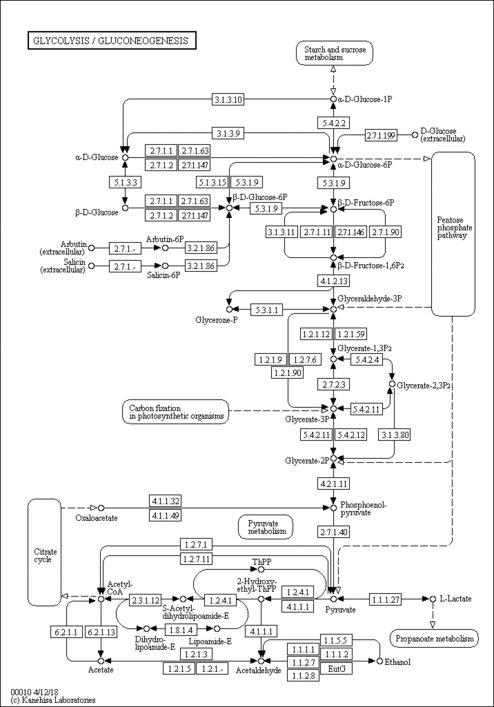 dme00010 KEGG pathway. 