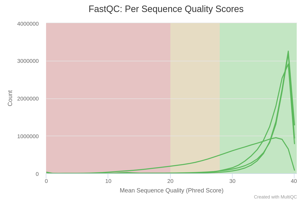 Per Sequence Quality Scores. 