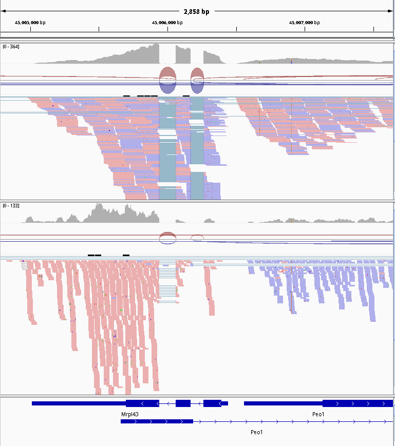 Stranded RNA-Seq data look like this. 