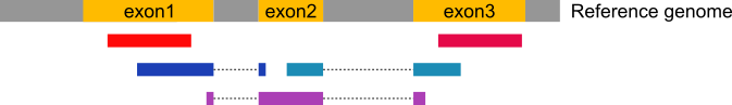 Types of RNA-Seq reads. 