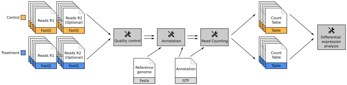 Control and treatment files goes through QC, annotation, and rad counting to produce sets of count tables. Then differential expression analysis is computed.