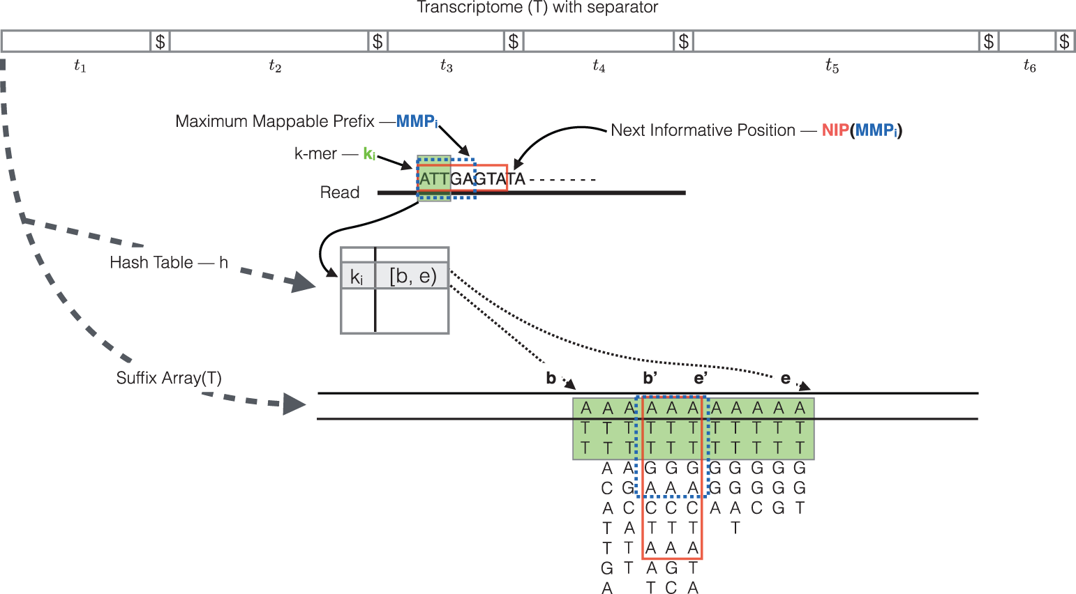 Salmon quasi-mapping