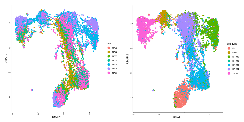 Batch data plotted on the obtained graph, compared with the cell types graph. DP-L and DP-M1 seem to consist mostly of N705 and N706, while other cell types have quite even batch distribution.