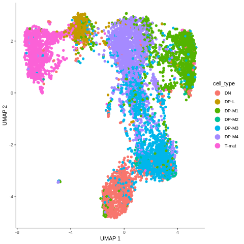 Each cell type forms a distinct group but they lie next to each other: DN, DP-M2, DP-M3, then DP-M4 has DP-M1 on the right and DP-L on the left, and DP-L neighbors with T-mat. 