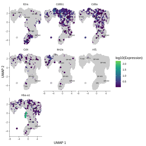 Expression on the genes: Il2ra expressed in DN, Cd8b1, Cd8a expressed in the areas where middle DP, Cd4 mostly expressed in late DP cluster, Itm2a expressed in mature T-cells, Aif1 – no expression, Hba-a1 - very high expression in small branch of DP-M4.