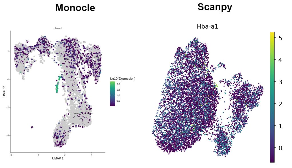 In Monocle graph, the cells expressing hemoglobin gene were grouped into a small branch of DP-M4, while in Scanpy the marker appears throughout the entire sample in low numbers, not allowing to group those cells.