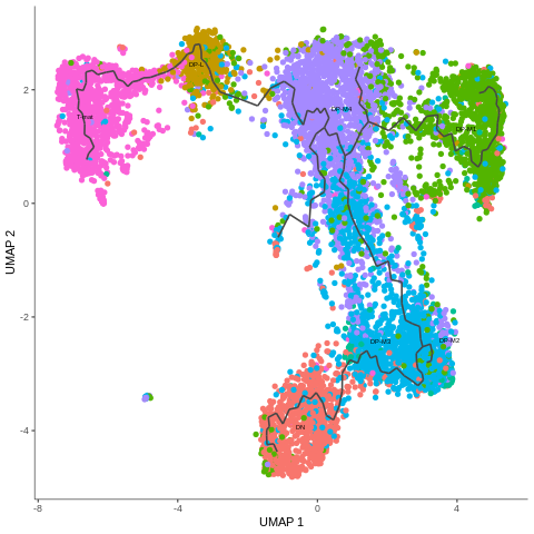 A trajectory path, branching out to connect all the clusters and thus show their relationships.