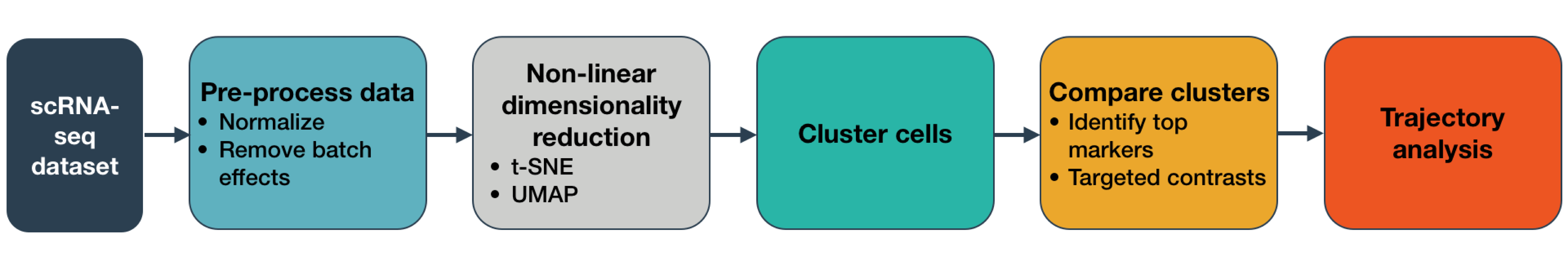 Monocle workflow: scRNA-seq dataset, pre-process data (normalise, remove batch effects), non-linear dimensionality reduction (t-SNE, UMAP), cluster cells, compare clusters (identify top markers, targeted contrasts), trajectory analysis. 